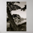 Search for ansel art Park
