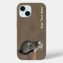 Search for gray cat electronics For her