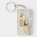 Search for carnivorous key rings Arctic