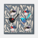 Search for fairy magnets Floral