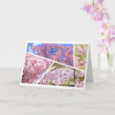 Search for flush cards Flower