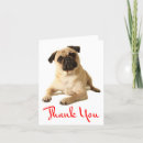 Search for pug thank you cards Puppy