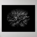 Search for black and white flower posters Flowers