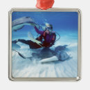 Search for modelled christmas tree decorations Animal