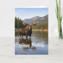 Search for forest birthday cards River