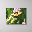 Search for purple butterfly canvas prints Nature