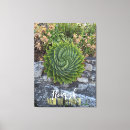 Search for granit canvas prints Nature