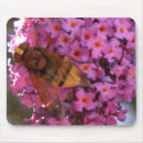 Search for bug pictures mouse mats Flowers