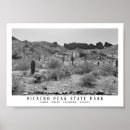 Search for picacho Desert