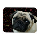 Search for pug magnets Cute