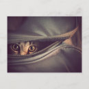 Search for zippers postcards Animal
