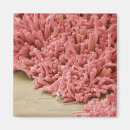 Search for bacterium magnets Horizontal