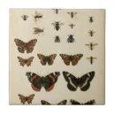 Search for insect tiles Butterflies