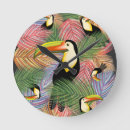 Search for toucan clocks Jungle