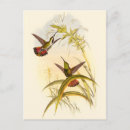 Search for branches vertical postcards Flower