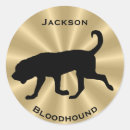 Search for bloodhound stickers Dog