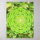 Search for mandalas photography Spiritual