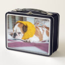 Search for bulldog lunch boxes Animals