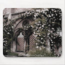 Search for rose window electronics France