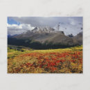 Search for athabasca postcards Canadian rockies