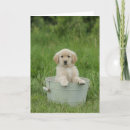 Search for basin cards Animal