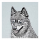 Search for kai posters Alaskan klee kai