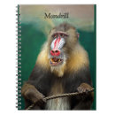 Search for ape notebooks Primate