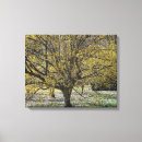 Search for glory canvas prints Nature