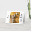 Search for goodbye quotes cards Co worker