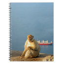 Search for ape notebooks Animal