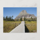 Search for hidden postcards Outdoors