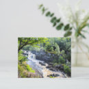 Search for shire cards invites Scotland