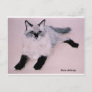 Search for stalking postcards Animal