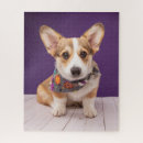 Search for corgi puzzles Puppy