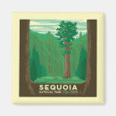 Search for sequoia national park magnets Forest