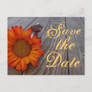 Search for barn save the date postcards Sunflower