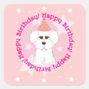 Search for bichon stickers Pets