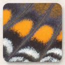 Search for extremity coasters Fragility