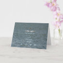 Search for tenderness cards Heart