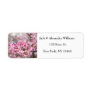 Search for cherry tree return address labels Flowers