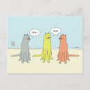 Search for funny cat postcards Silly