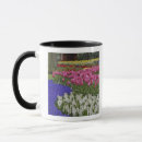 Search for hyacinth mugs Foliage