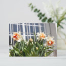 Search for spring stamps posters Photography