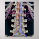 Search for internal angle posters Close up