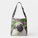 Search for dog face bags Animal