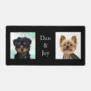 Search for yorkshire electronics Dog