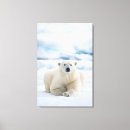 Search for adults canvas prints Horizontal