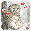 Search for owl painting stickers Watercolor