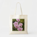 Search for phalaenopsis Flowers