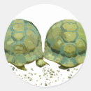 Search for tortoise shell stickers Reptiles
